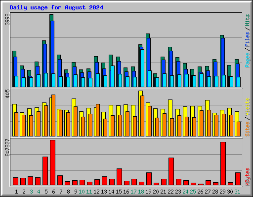 Daily usage for August 2024