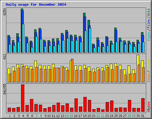 Daily usage for December 2024