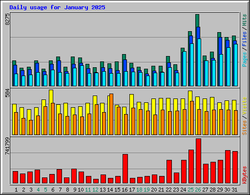 Daily usage for January 2025