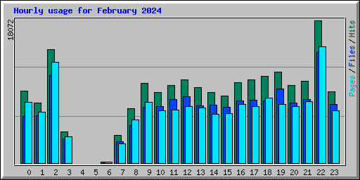 Hourly usage for February 2024