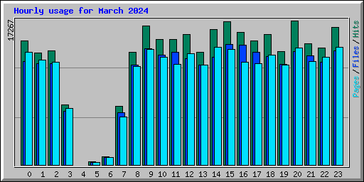 Hourly usage for March 2024