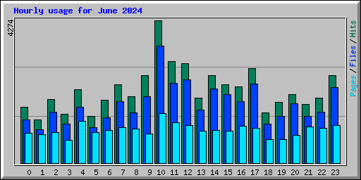 Hourly usage for June 2024