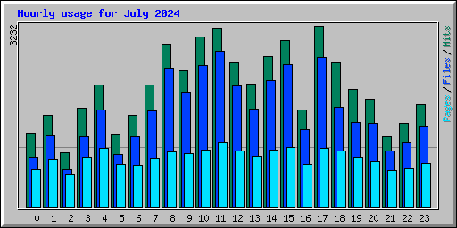 Hourly usage for July 2024