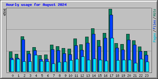 Hourly usage for August 2024