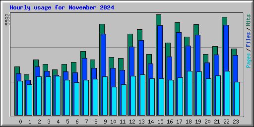 Hourly usage for November 2024