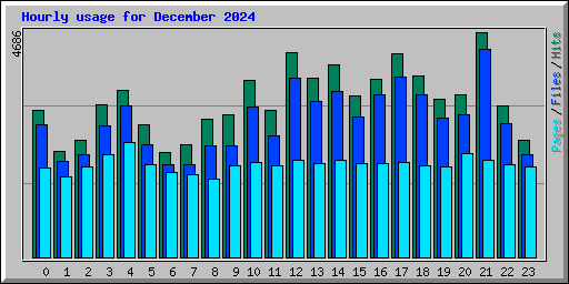 Hourly usage for December 2024