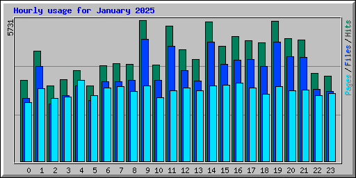 Hourly usage for January 2025