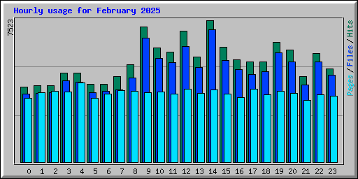 Hourly usage for February 2025