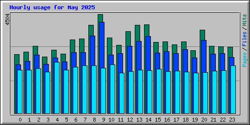 Hourly usage for May 2025