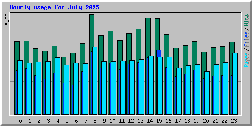 Hourly usage for July 2025