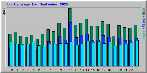 Hourly usage for September 2025