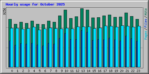Hourly usage for October 2025