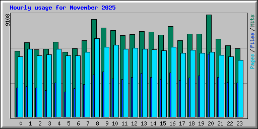 Hourly usage for November 2025