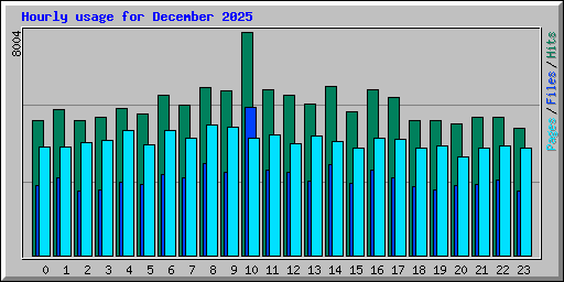 Hourly usage for December 2025
