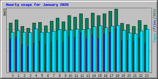 Hourly usage for January 2026