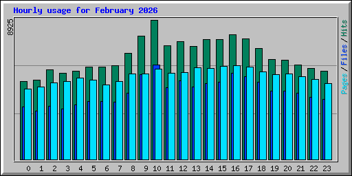 Hourly usage for February 2026