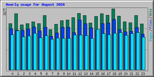 Hourly usage for August 2026