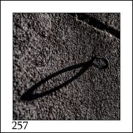 0250 Schritte BERTHA (2)