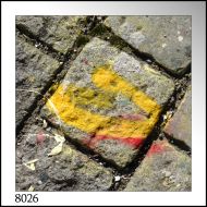 8026 Schritte BERTHA 