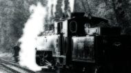 OrtonEffekt 48