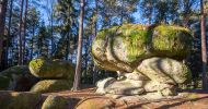 05FSPG Blockheide Rameder Bild 4