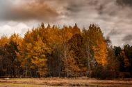06Turek Blockheide 3