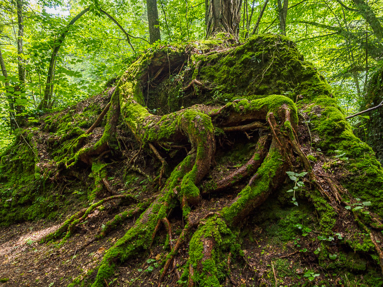 FSPG_Erlaufschlucht_Luiza_Zoufal_4